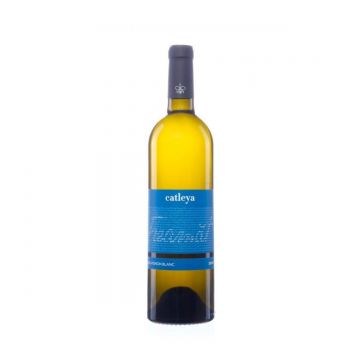 Catleya Freamat Sauvignon Blanc - Vin Sec Alb - Romania - 0.75L