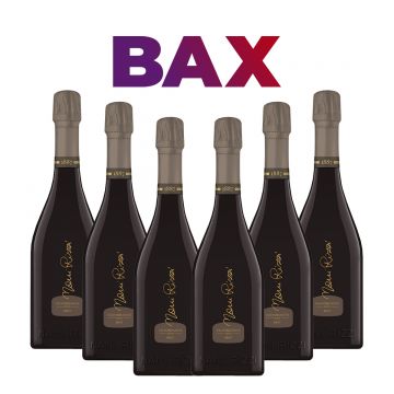 Nani Rizzi Valdobbiadene Prosecco Superiore DOCG Brut BAX 6 st X 0.75L