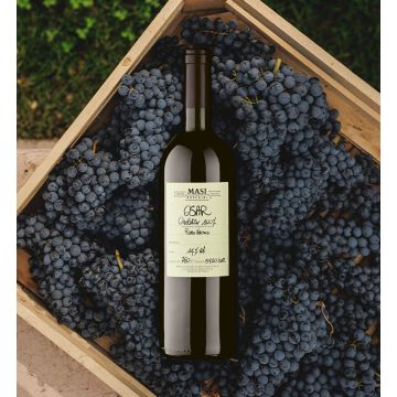 Masi Boscaini Osar Rosso del Veronese - Vin Rosu Sec - Italia - 0.75L