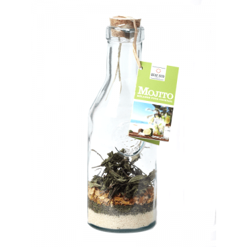 Amestec pentru cocktail - Mojito | Quai Sud