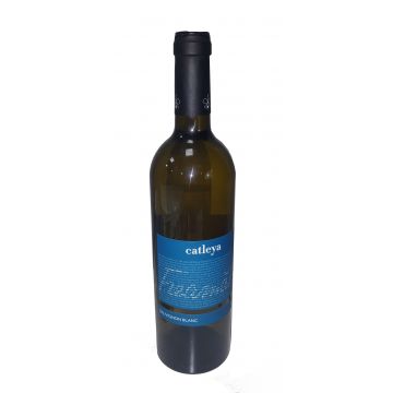 Vin alb - Crama Catleya, Freamat, Sauvignon blanc, 2015, sec | Catleya Wines