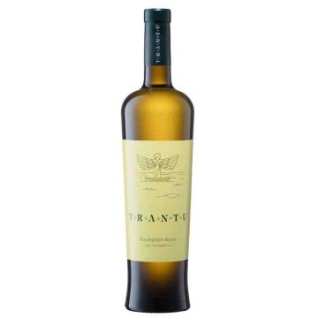 Vin alb - Crama Trantu, Sauvignon Blanc, 2019, sec | Crama Trantu