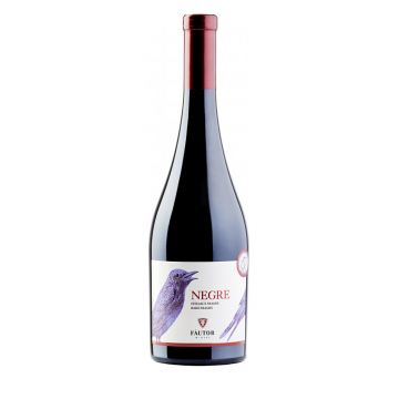 Vin rosu - Fautor Negre, Feteasca Neagra - Rara Neagra, sec, 2017 | Fautor Wine