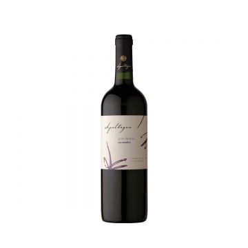 Apaltagua Gran Verano Carmenere - Vin Sec Rosu - Chile - 0.75L