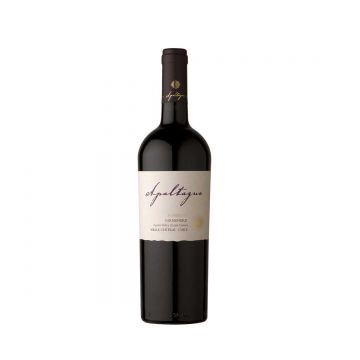 Apaltagua Reserva Carmenere - Vin Sec Rosu - Chile - 0.75L