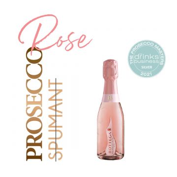 Bottega Il Vino dei Poeti Prosecco Rose Brut 0.2L