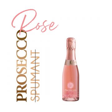 Casa Bottega Prosecco Rose DOC Brut 0.2L