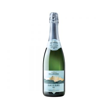 Sellaronda Blanc de Blancs Brut Vigneti delle Dolomiti 0.75L