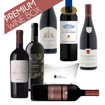 Party Box PREMIUM WINE BOX