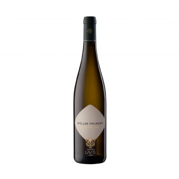 Muller thurgau