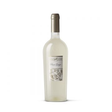 Tenuta Ulisse Unico Pinot Grigio Premium Terre de Chieti IGP - Vin Alb Sec - Italia - 0.75L