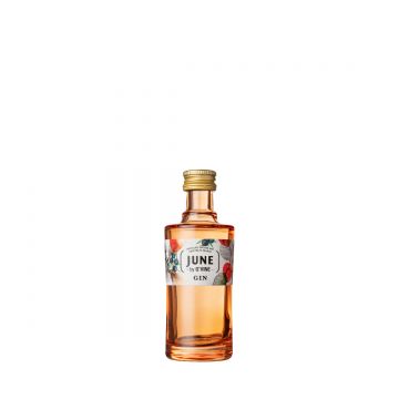 June by G Vine Wild Peach & Summer Fruits Gin 0.05L